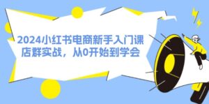 （11988期）2024小红书电商新手入门课，店群实战，从0开始到学会（31节）-网创资源