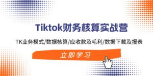 （11978期）Tiktok财务核算实战营：TK业务模式/数据核算/应收款及毛利/数据下载及报表-网创资源