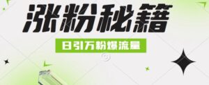 最新小和尚抖音涨粉，日引1万+，流量爆满-网创资源