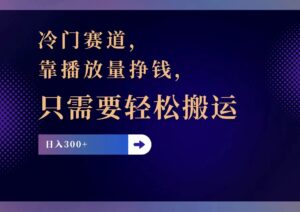 （11965期）冷门赛道，靠播放量挣钱，只需要轻松搬运，日赚300+-网创资源