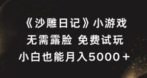 《沙雕日记》小游戏，无需露脸免费试玩，小白也能月入5000+【揭秘】-网创资源