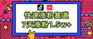 （11949期）涨粉超快蓝海赛道！轻松伪原创，7天涨粉1.5w+-网创资源