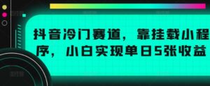 抖音冷门赛道，靠挂载小程序，小白实现单日5张收益-网创资源