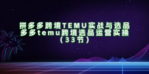 （11934期）拼多多平台跨境电商TEMU实战演练与选款，多多的temu跨境电商选款经营实际操作（33节）-网创资源