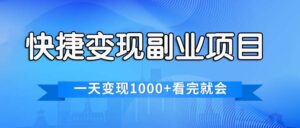 （11932期）便捷快速变现兼职副业，一天转现1000 ，各个平台最红跑道，看了便会-网创资源