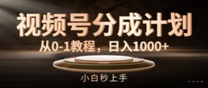 （11931期）微信视频号分为方案，从0-1实例教程，日入1000-网创资源