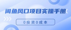 （11923期）闲鱼平台蓝海项目实际操作指南，0投入0成本费，使你保证，月入了万，初学者能做-网创资源