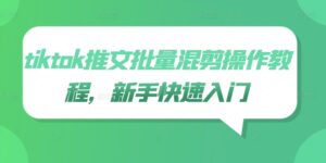 tiktok推文批量混剪操作教程，新手快速入门-网创资源