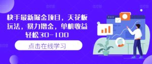 快手最新掘金项目，天花板玩法，暴力撸金，单机收益轻松30-100-网创资源