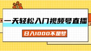 （11906期）一天入门视频号直播带货，日入1000不是梦-网创资源