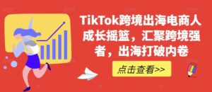 TikTok跨境出海电商人成长摇篮，汇聚跨境强者，出海打破内卷-网创资源
