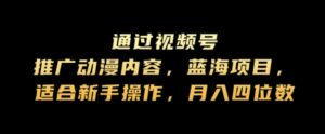 通过视频号推广动漫内容，蓝海项目，适合新手操作，月入四位数-网创资源