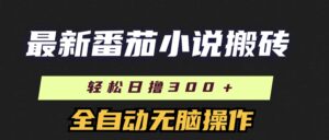 （11904期）最新番茄小说搬砖，日撸300＋！全自动操作，可矩阵放大-网创资源