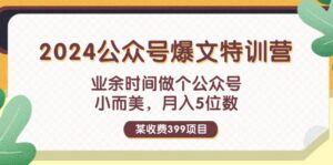 （11895期）某收费标准399元-2024微信公众号热文夏令营：碎片时间做一个微信公众号 小而精 月入5个数-网创资源