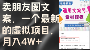 （11886期）卖朋友圈文案，一个最新虚拟资源项目，月入4W （实例教程 素材内容）-网创资源