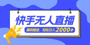 （11887期）快手美女舞蹈3.0，简易没脑子，轻松日入2000-网创资源