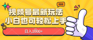（11881期）微信视频号全新游戏玩法，新手也可以快速上手，日入1000-网创资源