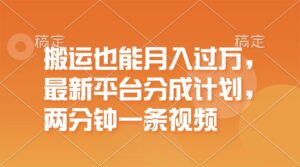 （11874期）运送也可以月入了万，全新服务平台分为方案，一万播放视频一百米，一分钟一个作品-网创资源