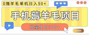 苹果手机零撸薅羊毛项目 单机日收益50+【视频教程】-网创资源