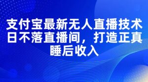 （11865期）支付宝最新无人直播技术，日不落直播间，打造正真睡后收入-网创资源