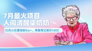（11861期）7月最火项目，人间清醒柒奶奶，10天小红薯涨粉8w+，单篇笔记报价1400.-网创资源