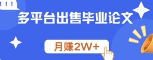 多平台出售毕业论文，月赚2W+-网创资源