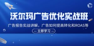 （11847期）沃尔玛超市广告销售实战演练班，广告宣传汇报实战演练解读，广告宣传怎样提高转化ROAS等-网创资源