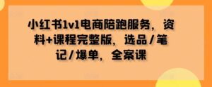 小红书1v1电商陪跑服务，资料+课程完整版，选品/笔记/爆单，全案课-网创资源