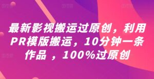 最新影视搬运过原创，利用PR模版搬运，10分钟一条作品 ，100%过原创【教程+PR模板】-网创资源