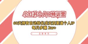 （11841期）小红书的·本人IP夏令营：60天有着 全自动转换交易量双方式本人IP，每月挣到 2w-网创资源