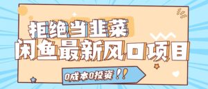 （11781期）回绝当韭菜！闲鱼平台全新蓝海项目，0费用0项目投资，当日开单，日入1000-网创资源