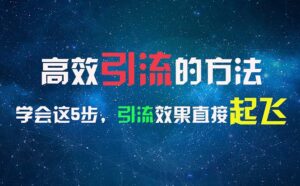 （11776期）高效率引流的方法，能够帮助你日引300 自主创业粉，一年轻轻松松收益30万，比工作强-网创资源
