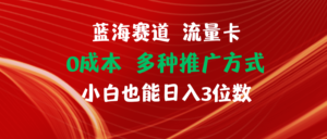 （11768期）瀚海跑道 上网卡 0成本费 新手也可以日入三位数-网创资源