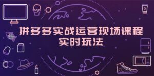 （11759期）拼多多平台实战演练经营当场课程内容，即时游戏玩法，爆款打造，选款、标准分析-网创资源