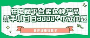 最新在电商平台发布这种产品，新手小白日入3k不成问题，最详细赚钱教学-网创资源