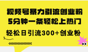 （11754期）微信视频号暴力行为引流方法自主创业粉，5分钟左右一条轻轻松松抖音上热门，轻轻松松日引流方法300 自主创业粉-网创资源