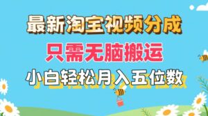 （11744期）最新淘宝视频分成，只需无脑搬运，小白也能轻松月入五位数，可矩阵批量…-网创资源