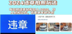 （11743期）2024违章拍照新玩法，推广躺赚+拍照赚钱双模式，日入1000+-网创资源