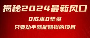 （11727期）揭秘2024最新风口，0成本0垫资，新手小白只要动手就能赚钱的项目—空调-网创资源