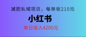 小红书减肥私域项目，每单210元，单日可卖出15单，利润3150-网创资源