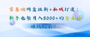 零基础网盘拉新+私域引流：新手也能月入50000+的全自动赚钱秘籍!-网创资源