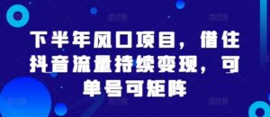 下半年风口项目，借住抖音流量持续变现，可单号可矩阵-网创资源