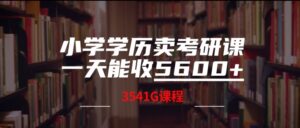 小学学历卖考研课程，一天收5600(附3541G考研合集)-网创资源