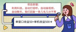 （11722期）ai语聊，单窗口收益50+，单机收益500+，无脑挂机无脑干！！！-网创资源