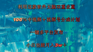 （11710期）运用这个软件没脑子双向去重复 100％中视频＋微信视频号分为方案 新手也可以月入3w＋-网创资源