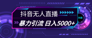 （11709期）抖音无人在线，爆利引流方法，日入5000-网创资源