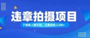 （11698期）随拍还能赚钱？正确的日入300-网创资源