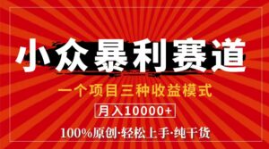 （11695期）视频号【中老年粉深信不疑】小众赛道 100%原创 手把手教学 新号3天收益…-网创资源