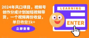 2024年风口项目,视频号创作分成计划加短视频带货,一个视频两份收益,单日收益1k+-网创资源