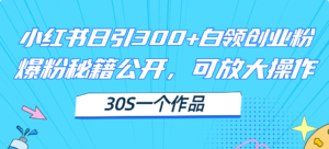 （11692期）小红书日引300+高质白领创业粉，可放大操作，爆粉秘籍！30s一个作品-网创资源